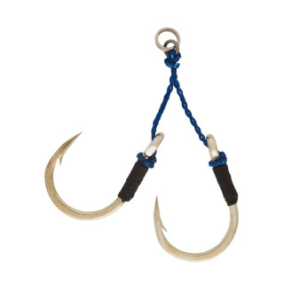 ANZ.DAIWA SLOW ASSIT