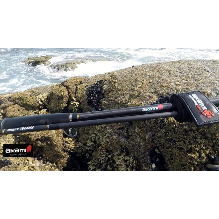 CAÑA AKAMI TOYAMA